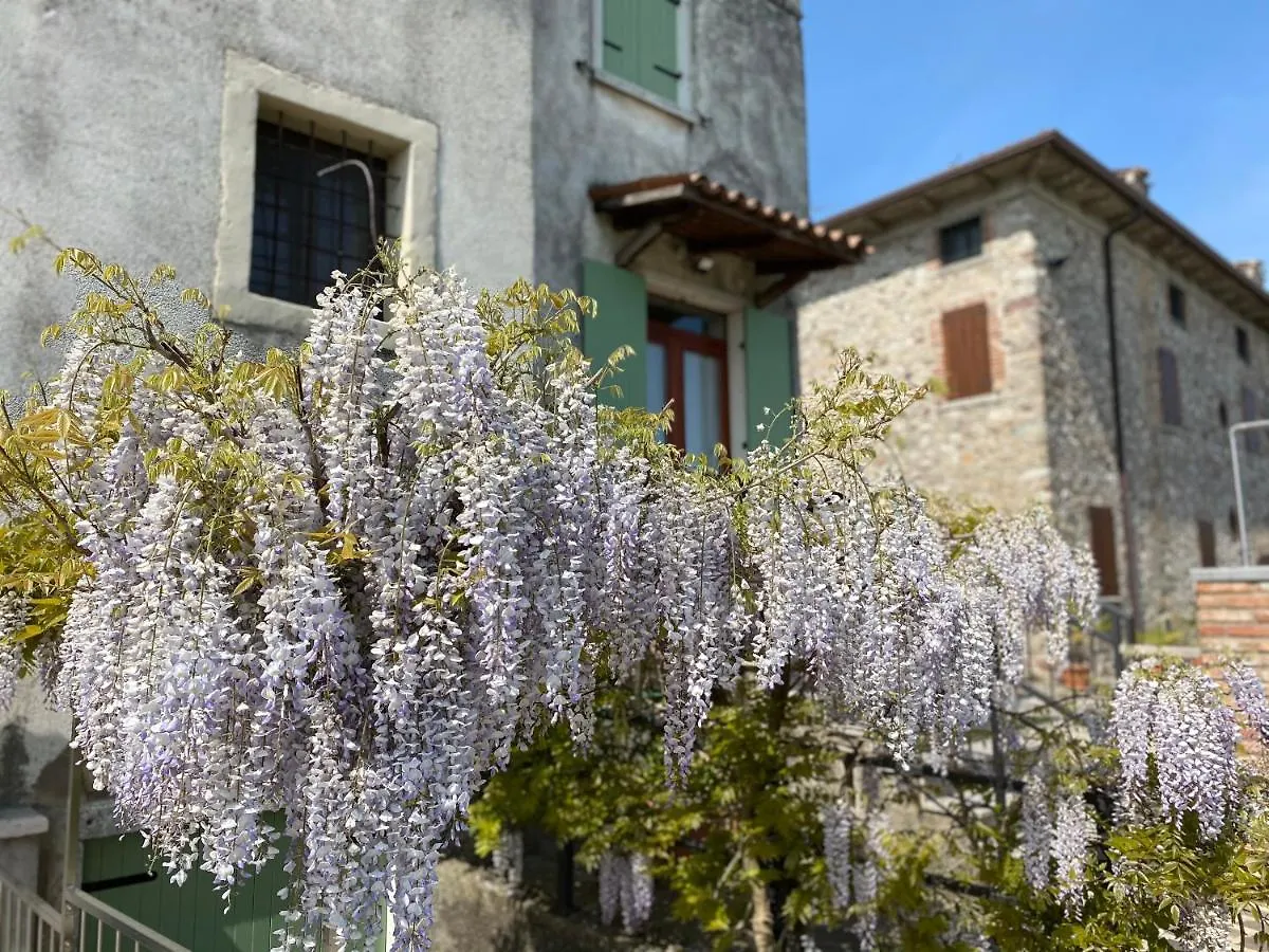 Antico Stemma di Corte Meneghella Monzambano Casa vacanze